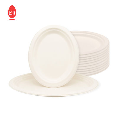 245mm নিষ্পত্তিযোগ্য খাদ্য প্যাকেজিং পাত্রে FSC পরিবেশ সুরক্ষা টেবিলওয়্যার